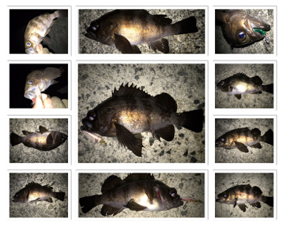 2020ライトゲーム第2戦