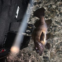 フロートのみに反応