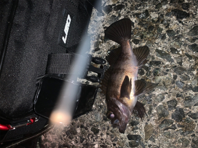 フロートのみに反応