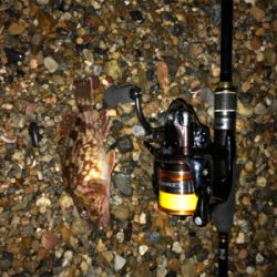 水温下がってきた？