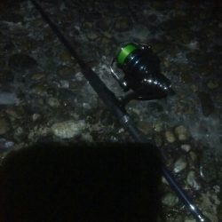 槍2　障泥1　釣果！