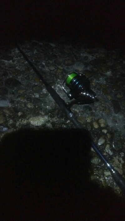 槍2　障泥1　釣果！