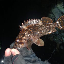 小潮でひと段落！？