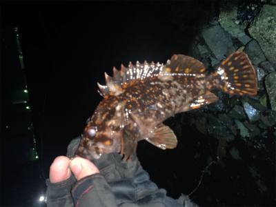 小潮でひと段落！？