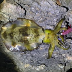 風との付き合い