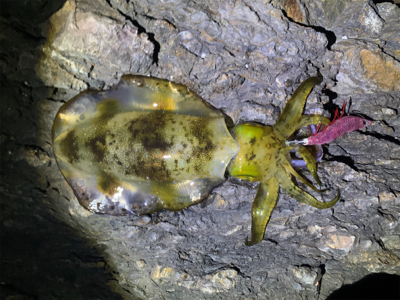 風との付き合い