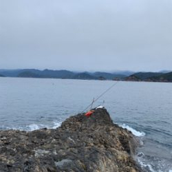 三重県紀北町 沖磯グレ