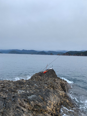 三重県紀北町 沖磯グレ