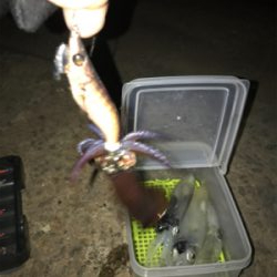 爆釣…と、思ったら渋いヒイカ釣り(＞＜)