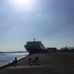 2020年初宮崎港 チヌ釣り