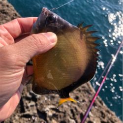 イズスミ狙い！