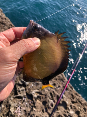 イズスミ狙い！