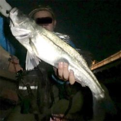 仕事帰りシーバス