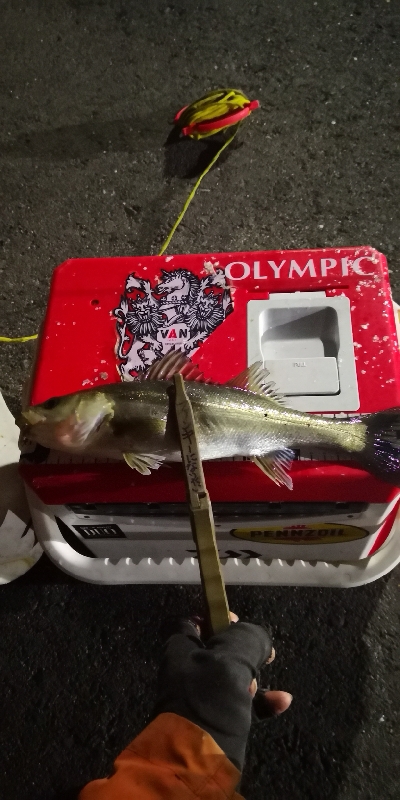 アジング練習 102