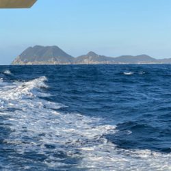 オフショアブリ