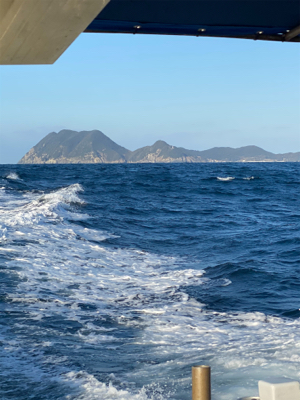 オフショアブリ