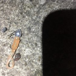 ゼログラヘッド＋シャローフリークプチ