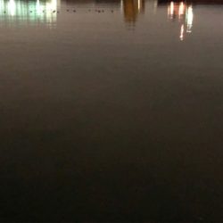 ガッシーに遊ばれたくて…