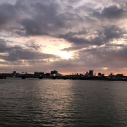 ようやくチヌらしいチヌ