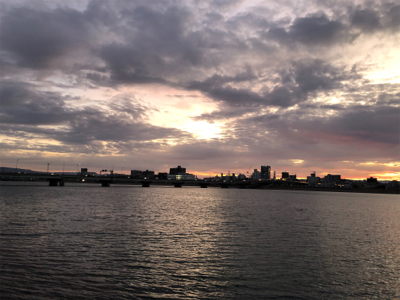 ようやくチヌらしいチヌ