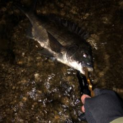 予想外に寒いっ