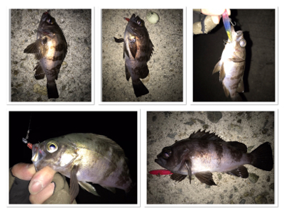 2020 ライトゲーム第4戦