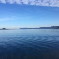 ショアでイカを釣る…