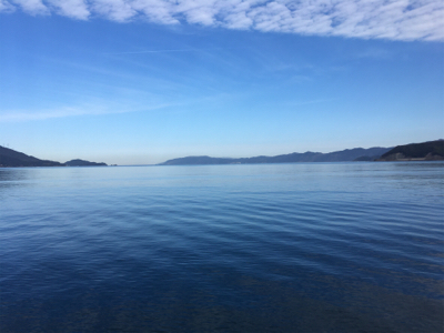 ショアでイカを釣る…