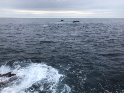 マルヒサ渡船 ウィンターロックフィッシュゲーム