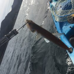 渋い日が続きます。