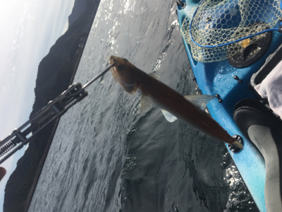 渋い日が続きます。