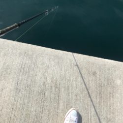 デーメバリング