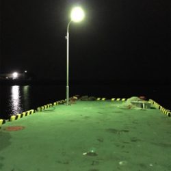 五目釣り目指して‼︎