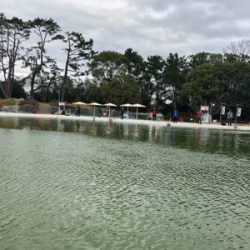 服部緑地 トラウト