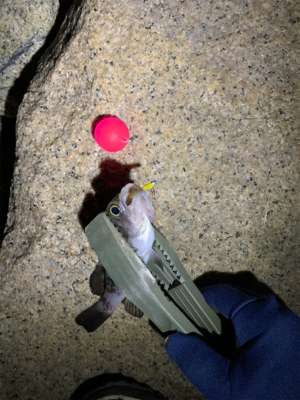 停めれないし、釣れない