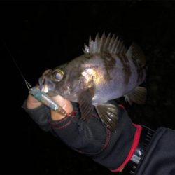 なかなかの渋さ…