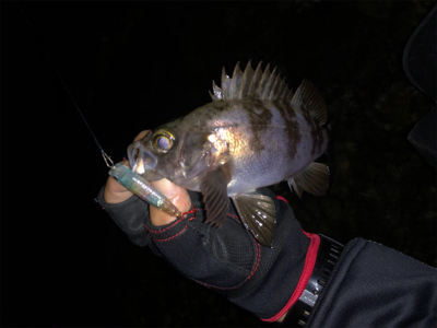 なかなかの渋さ…