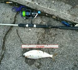 スレががりの日