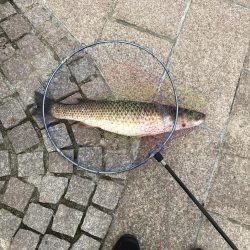 地上は強風、水中は激流