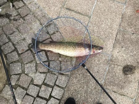 地上は強風、水中は激流