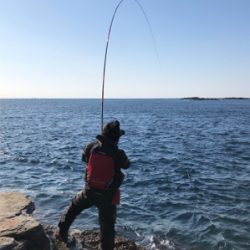 初釣り　磯フカセ