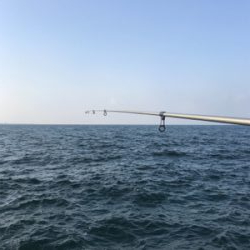 アジのちブリ狙い