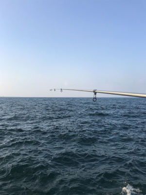 アジのちブリ狙い