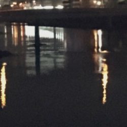 淡水域シーバスを求めて