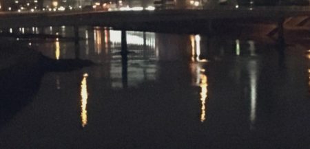 淡水域シーバスを求めて