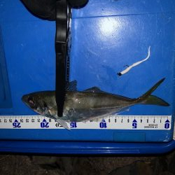 ゴロタdeフロート