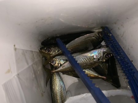 南蛮漬け子供のおやつに