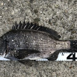 イチノ兄弟、釣果！