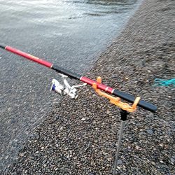 大きくなってきましたね(^^)