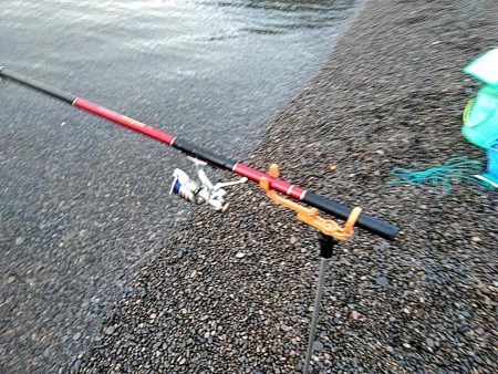 大きくなってきましたね(^^)